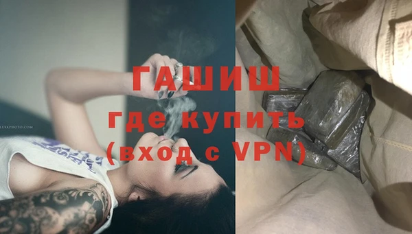 шишки Лабытнанги