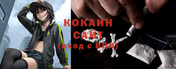 шишки Лабытнанги