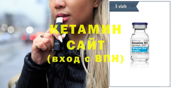 шишки Лабытнанги