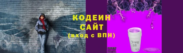 шишки Лабытнанги