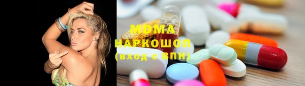 шишки Лабытнанги