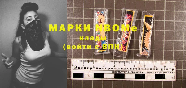 шишки Лабытнанги
