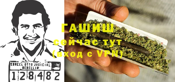 шишки Лабытнанги
