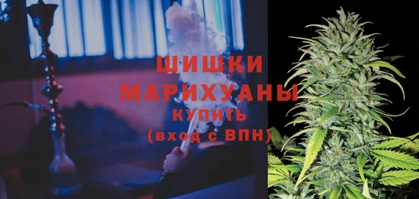 ПСИЛОЦИБИНОВЫЕ ГРИБЫ Лагань