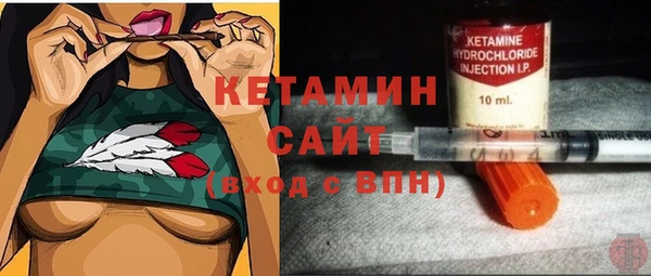 шишки Лабытнанги