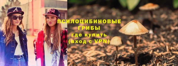 таблы Ладушкин