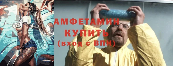 шишки Лабытнанги