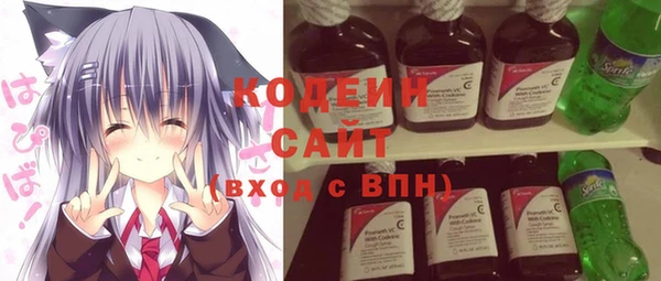 шишки Лабытнанги