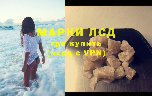 шишки Лабытнанги