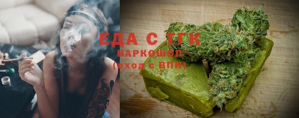 шишки Лабытнанги