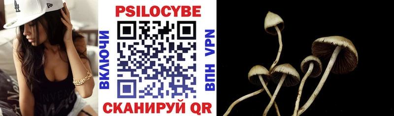 Купить  Зеленодольск  Псилоцибиновые грибы Psilocybe 